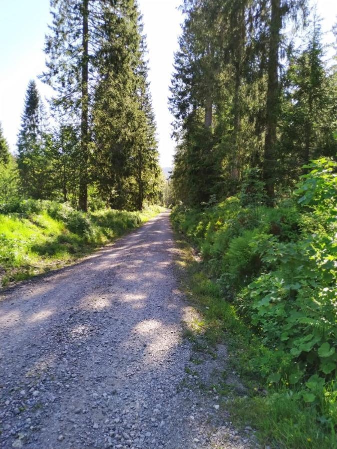 Ferienwohnung Feldberg - Residenz Grafenmatt Zewnętrze zdjęcie