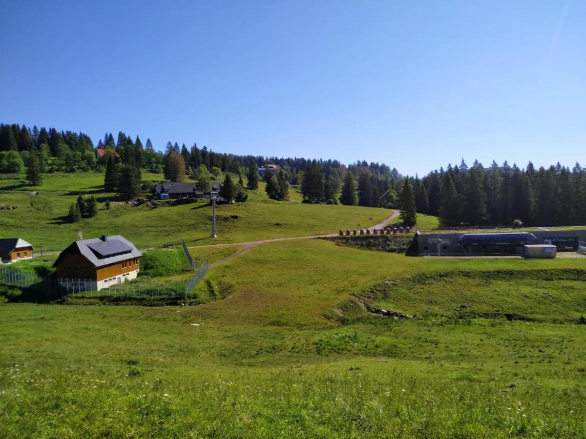 Ferienwohnung Feldberg - Residenz Grafenmatt Zewnętrze zdjęcie