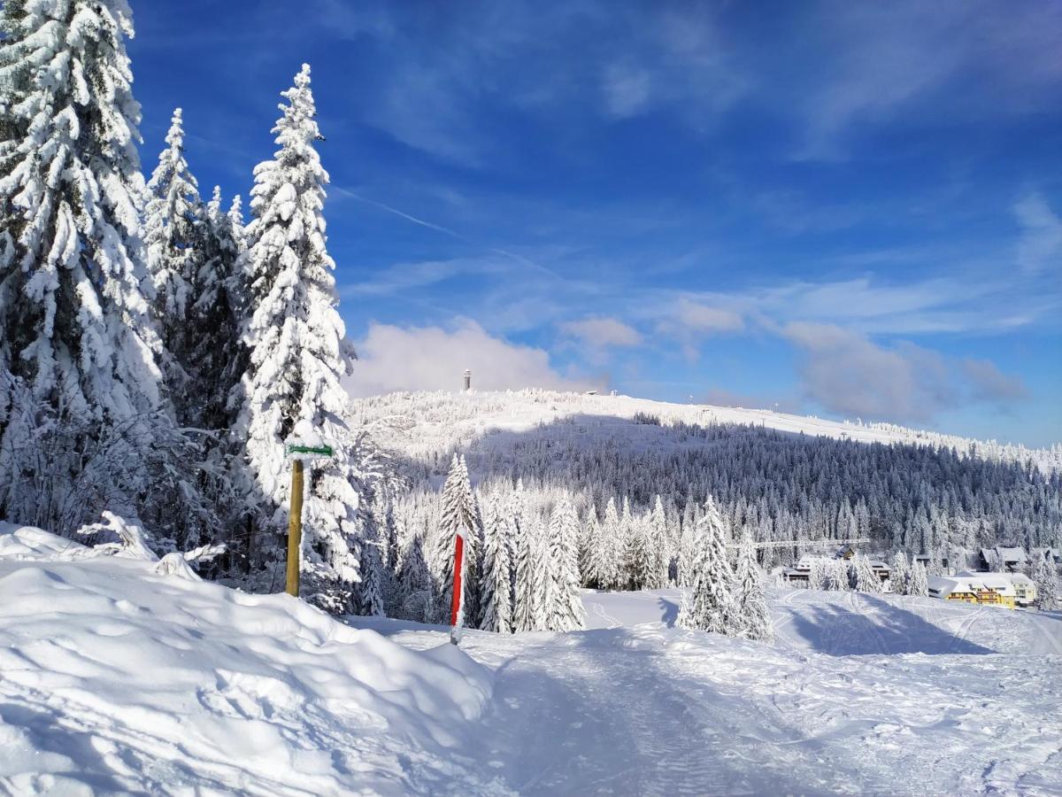 Ferienwohnung Feldberg - Residenz Grafenmatt Zewnętrze zdjęcie
