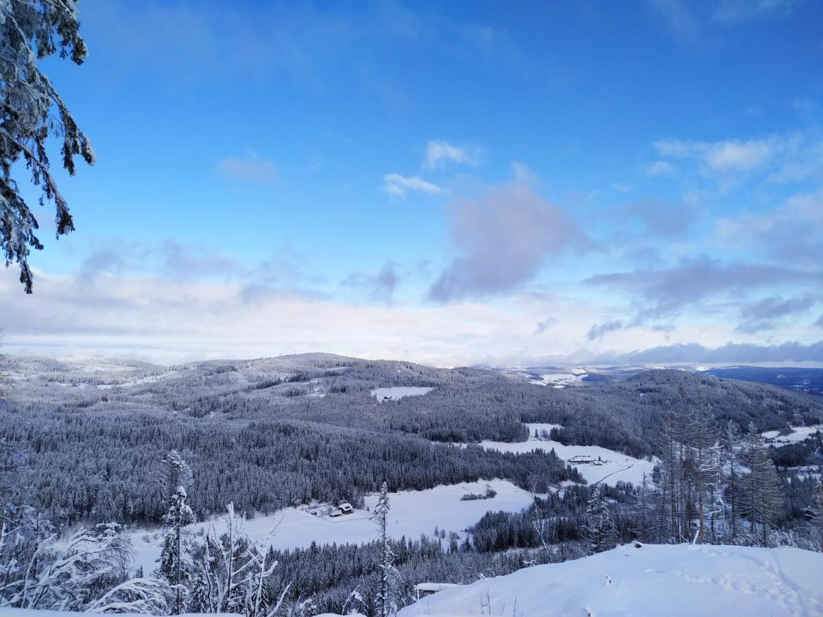 Ferienwohnung Feldberg - Residenz Grafenmatt Zewnętrze zdjęcie